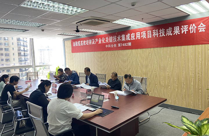 金沙江河谷油橄榄产业化关键技术研发与应用 anli.jpg